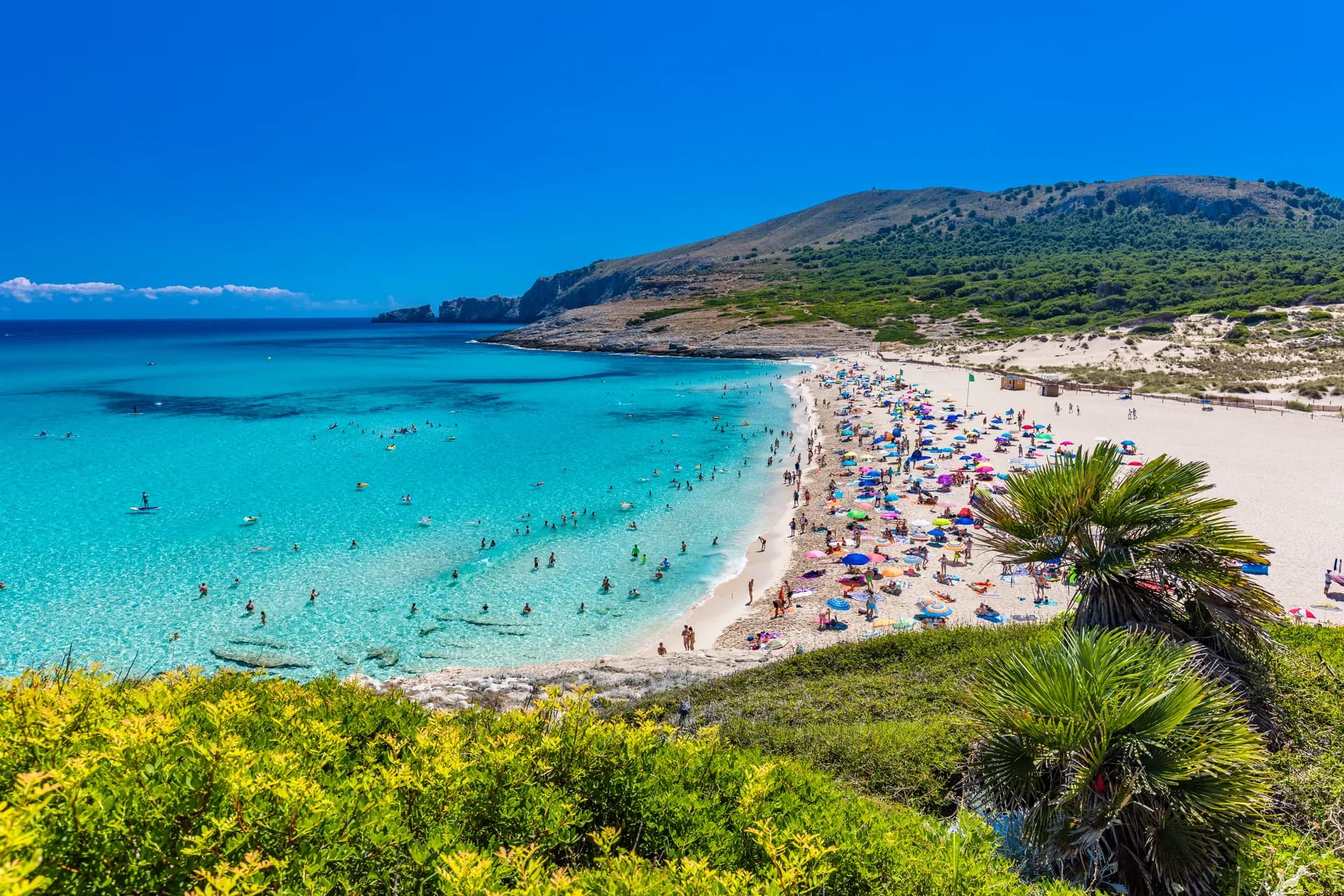 Plage de sable de Cala Mesquida près d'Artà dans le nord-est de Majorque