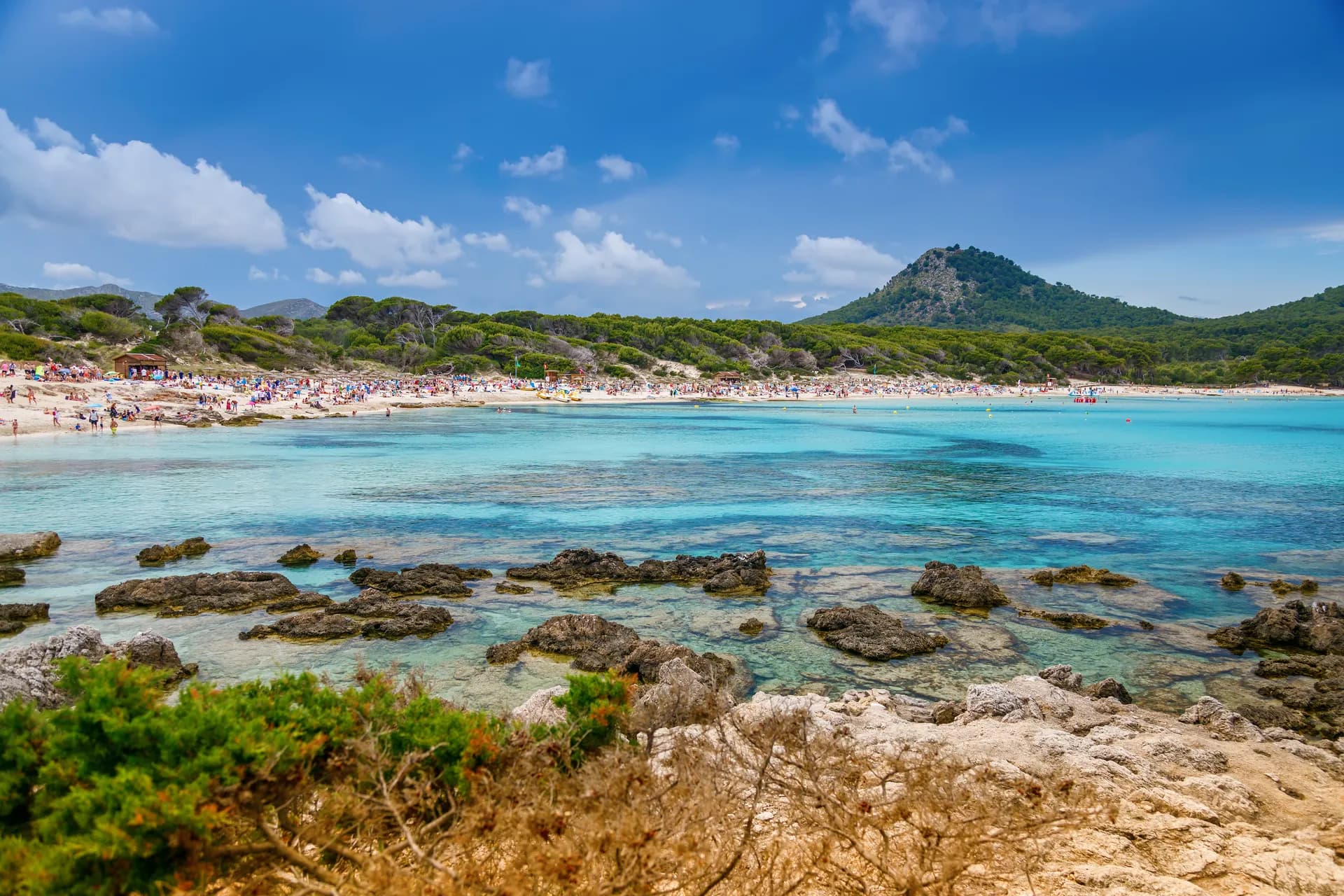 Port de pêche de Cala Bona avec ses bateaux colorés et ses eaux calmes