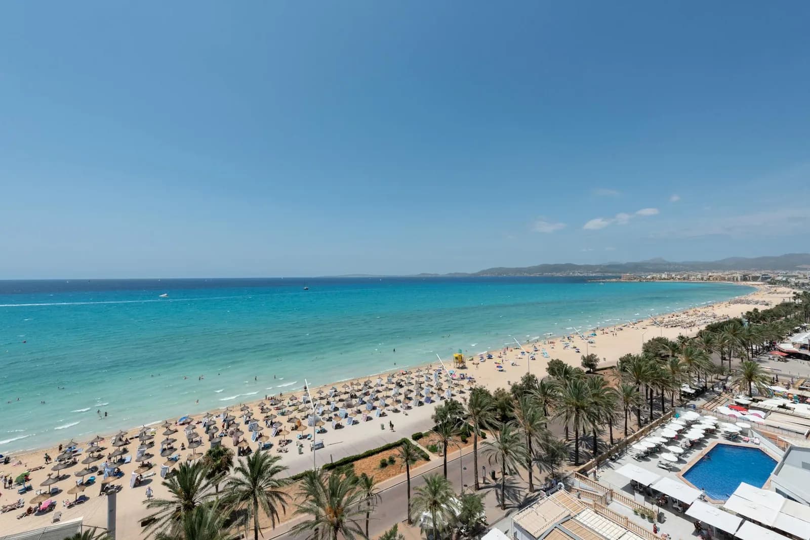 Vignobles dorés de Majorque en septembre avec vue sur la mer