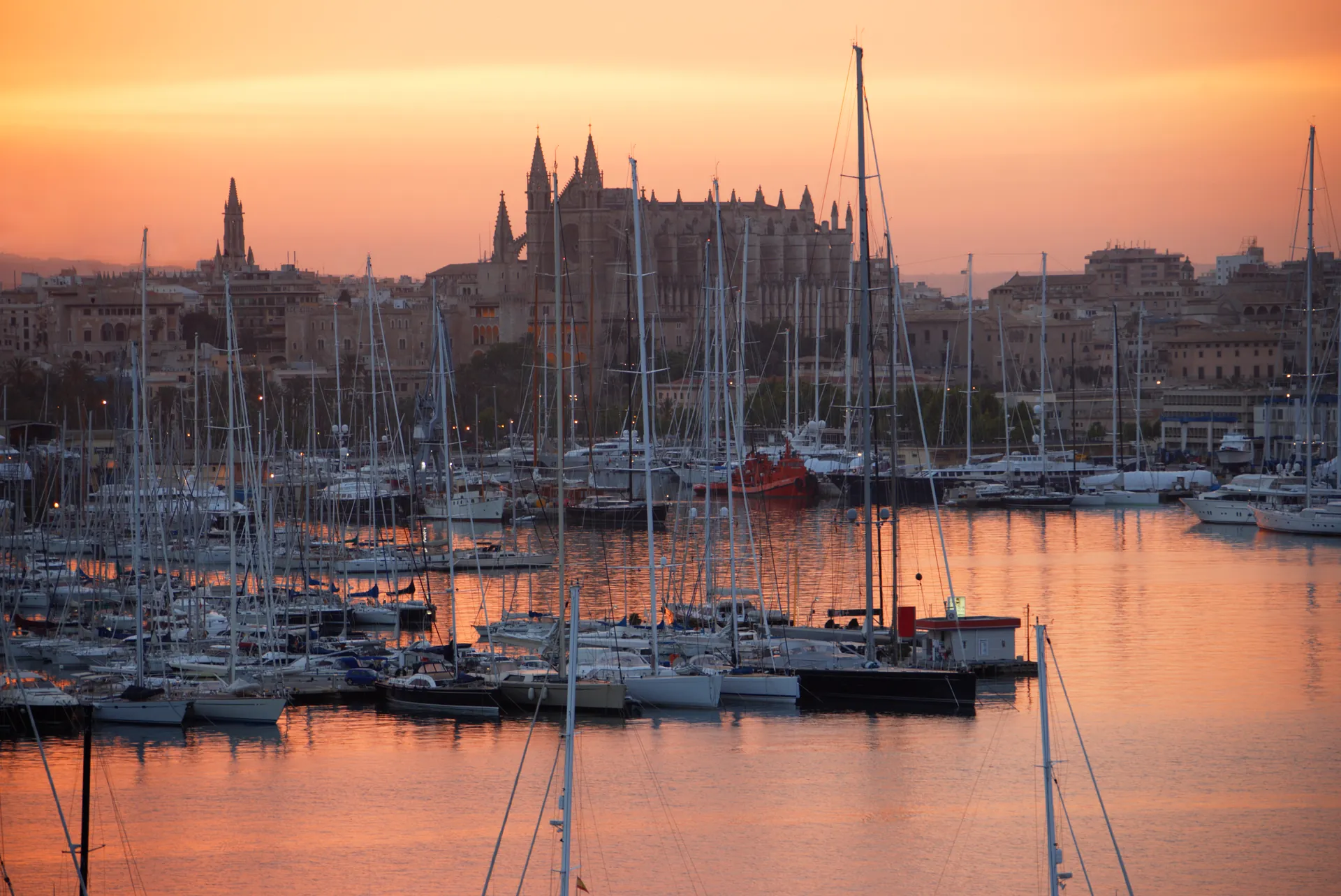 Marina et cathédrale de Palma au lever du soleil