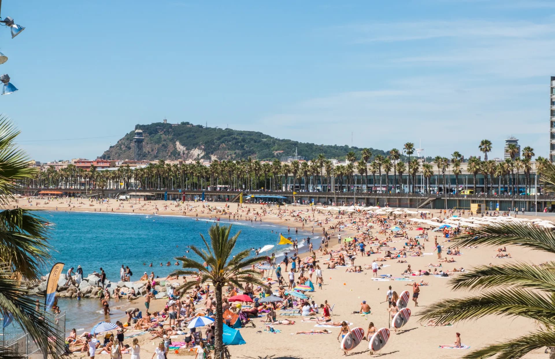 Une plage animée avec des parasols colorés et des personnes profitant du soleil et de la mer, bordée par une rangée de palmiers et des constructions urbaines