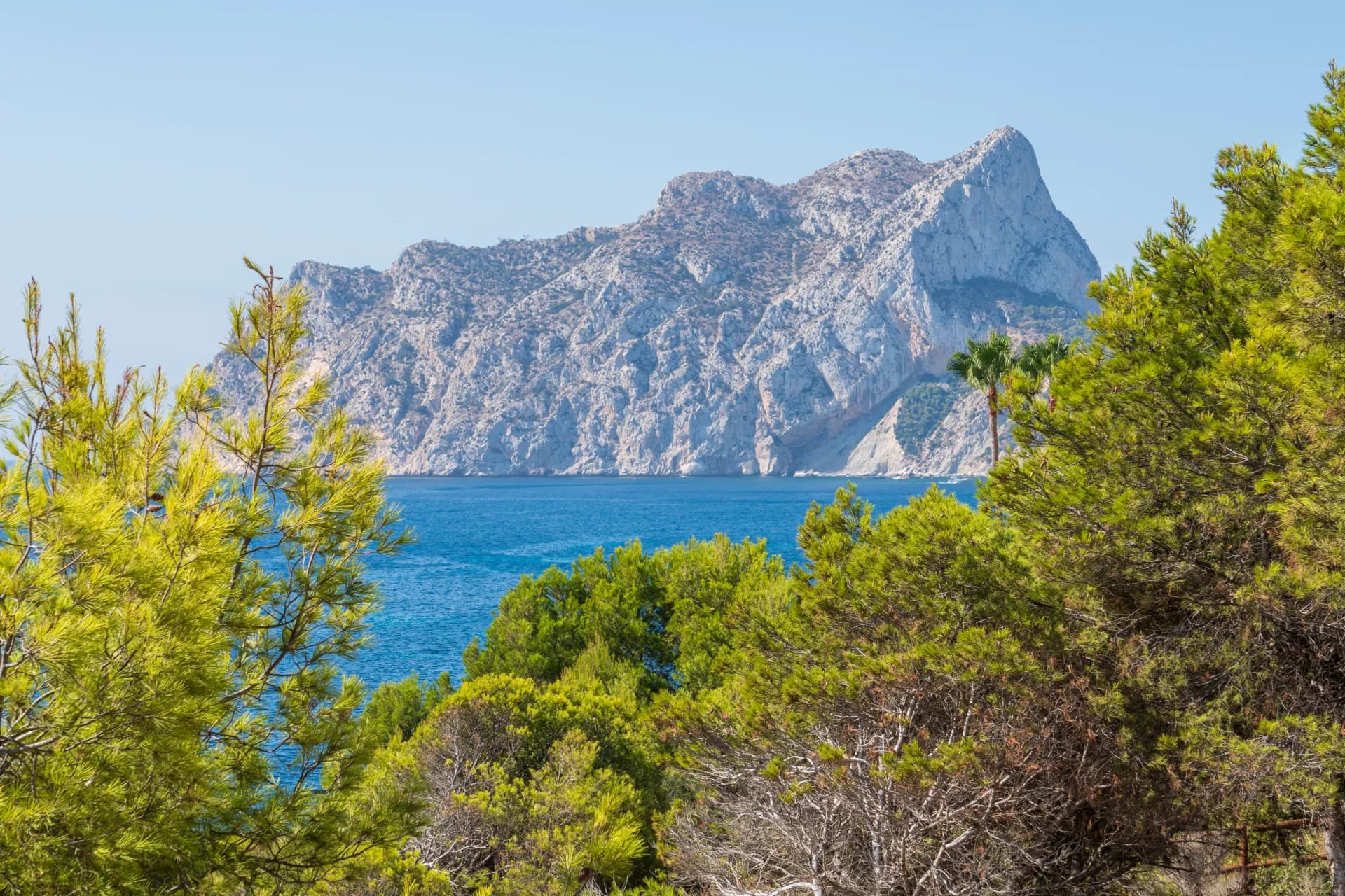 Vue panoramique sur une montagne rocheuse imposante surplombant une mer bleue, encadrée par des arbres verts luxuriants au premier plan sous un ciel clair.