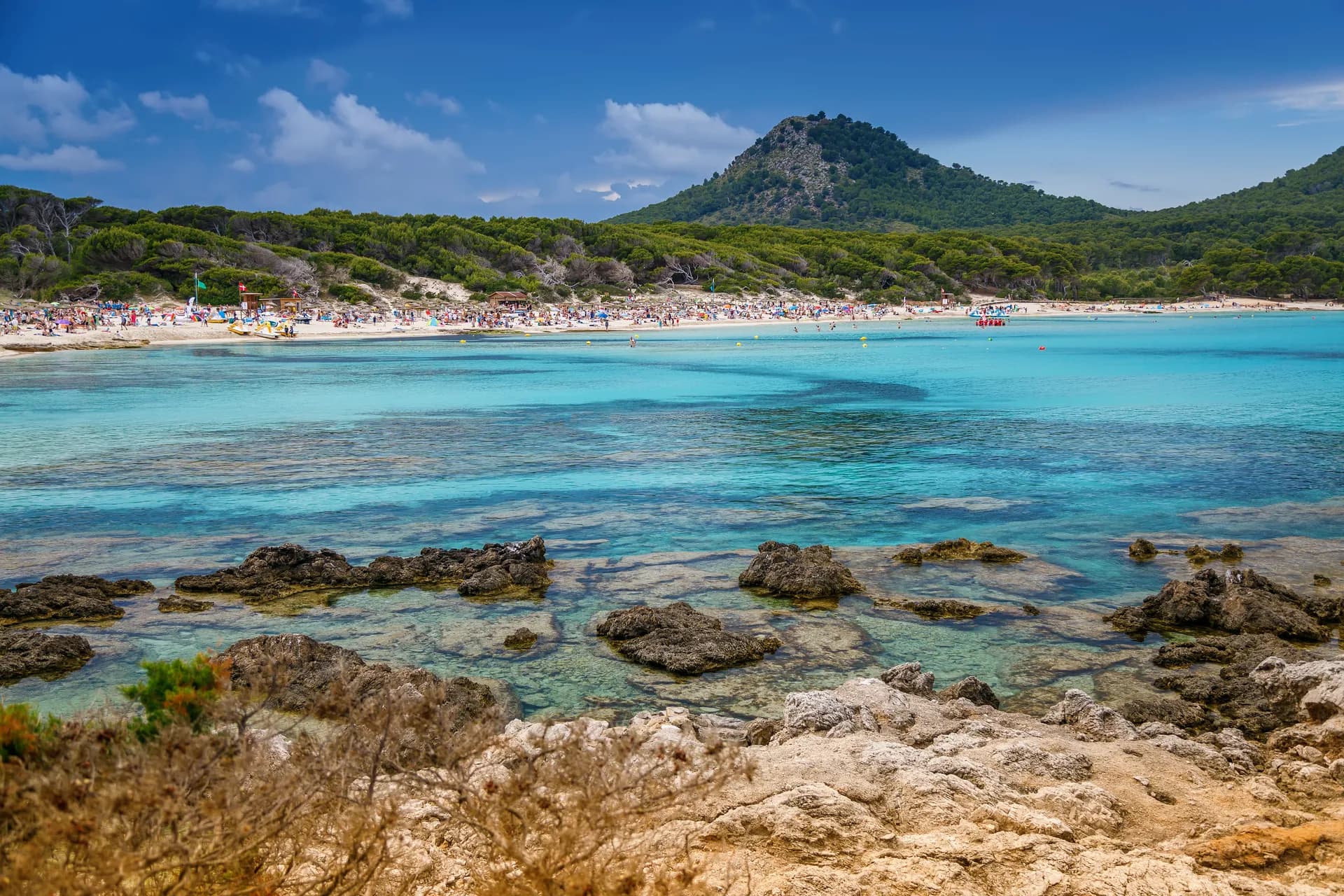 Plage de Cala Agulla, Majorque