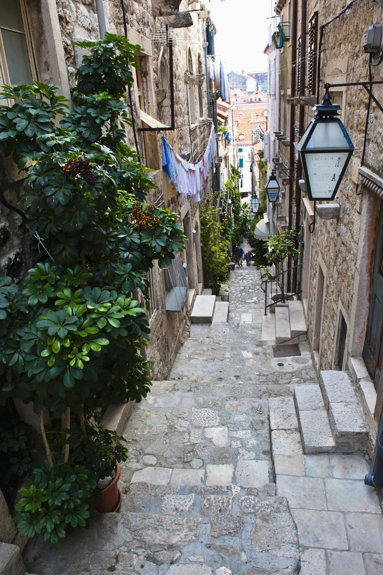 Ruelle étroite et pavée bordée de bâtiments en pierre, avec des plantes vertes en pot et du linge étendu entre les façades