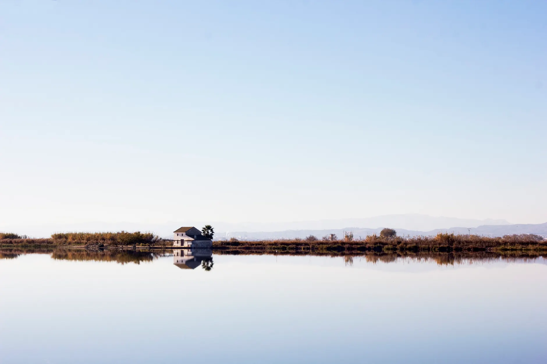 Oiseaux à Majorque : s’Albufera, guide d’observation toute l’année