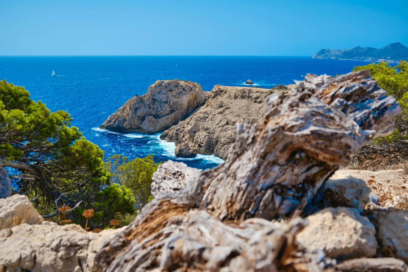 Paysage de la région à Majorque — plage, crique
