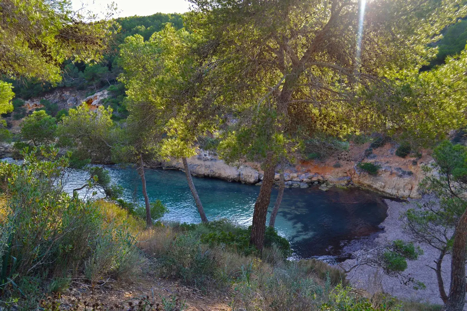 L'eau émeraude de Cala Falcó sous les pins, côte sud-ouest de Majorque