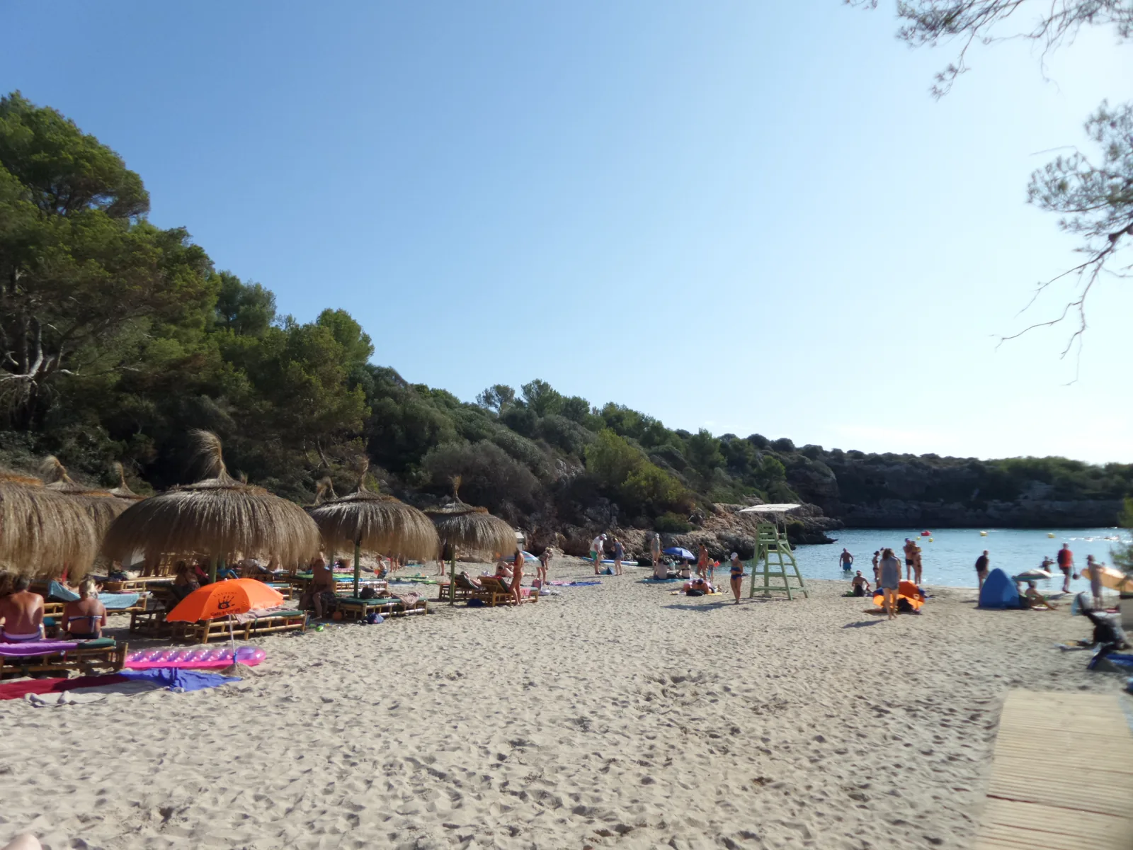 Les parasols de paille et le sable de Cala Sa Nau