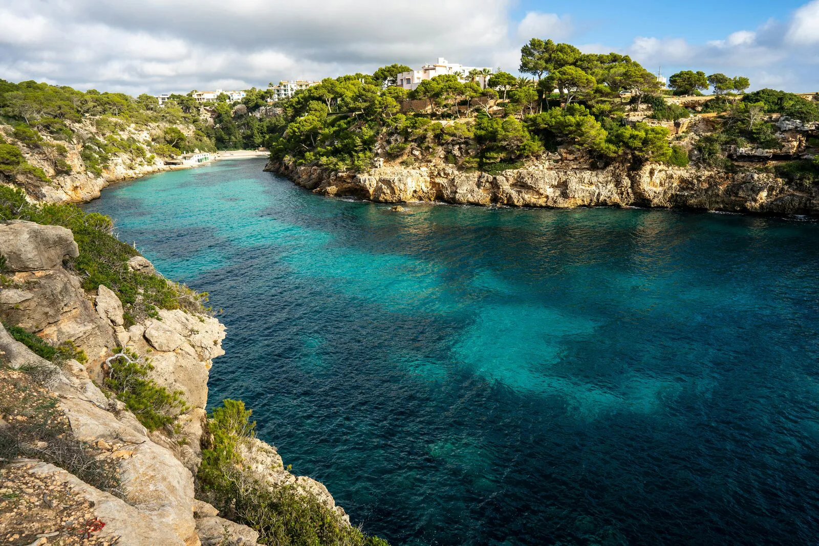 Vue aérienne d'une crique bordée de pins dans le sud-est de Majorque