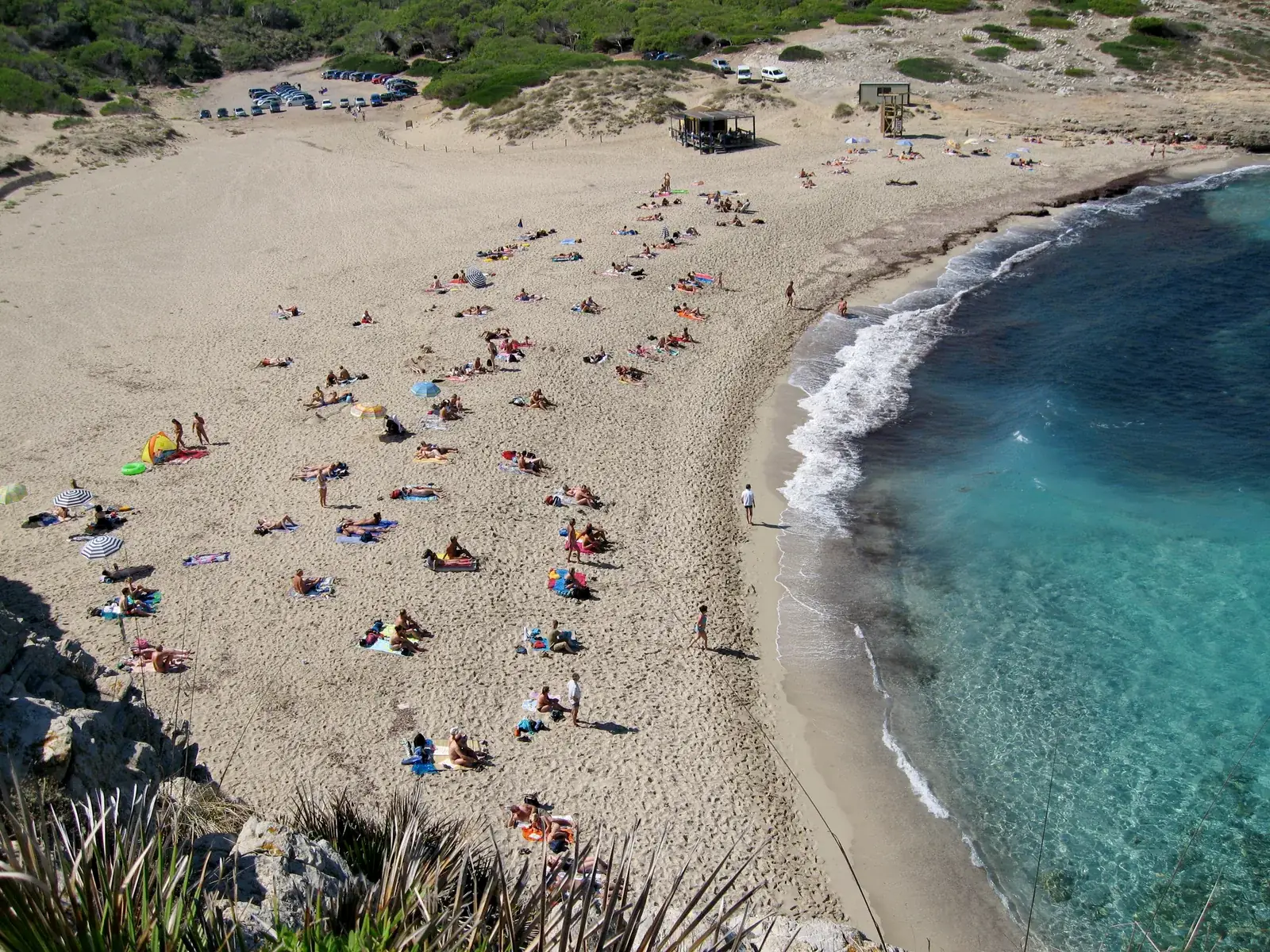 La plage de Cala Torta en été, sable clair et vagues qui rentrent dans la baie