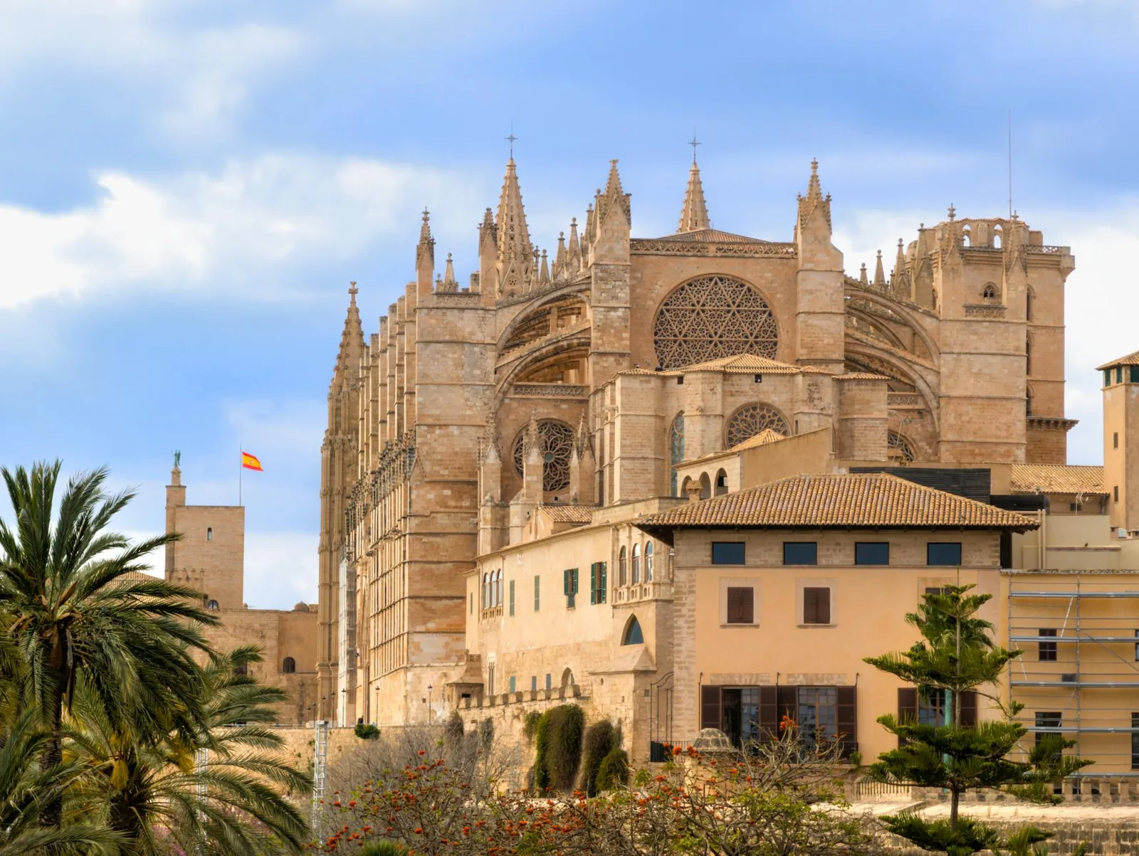 Vue de Palma de Majorque à Majorque — cathédrale, architecture