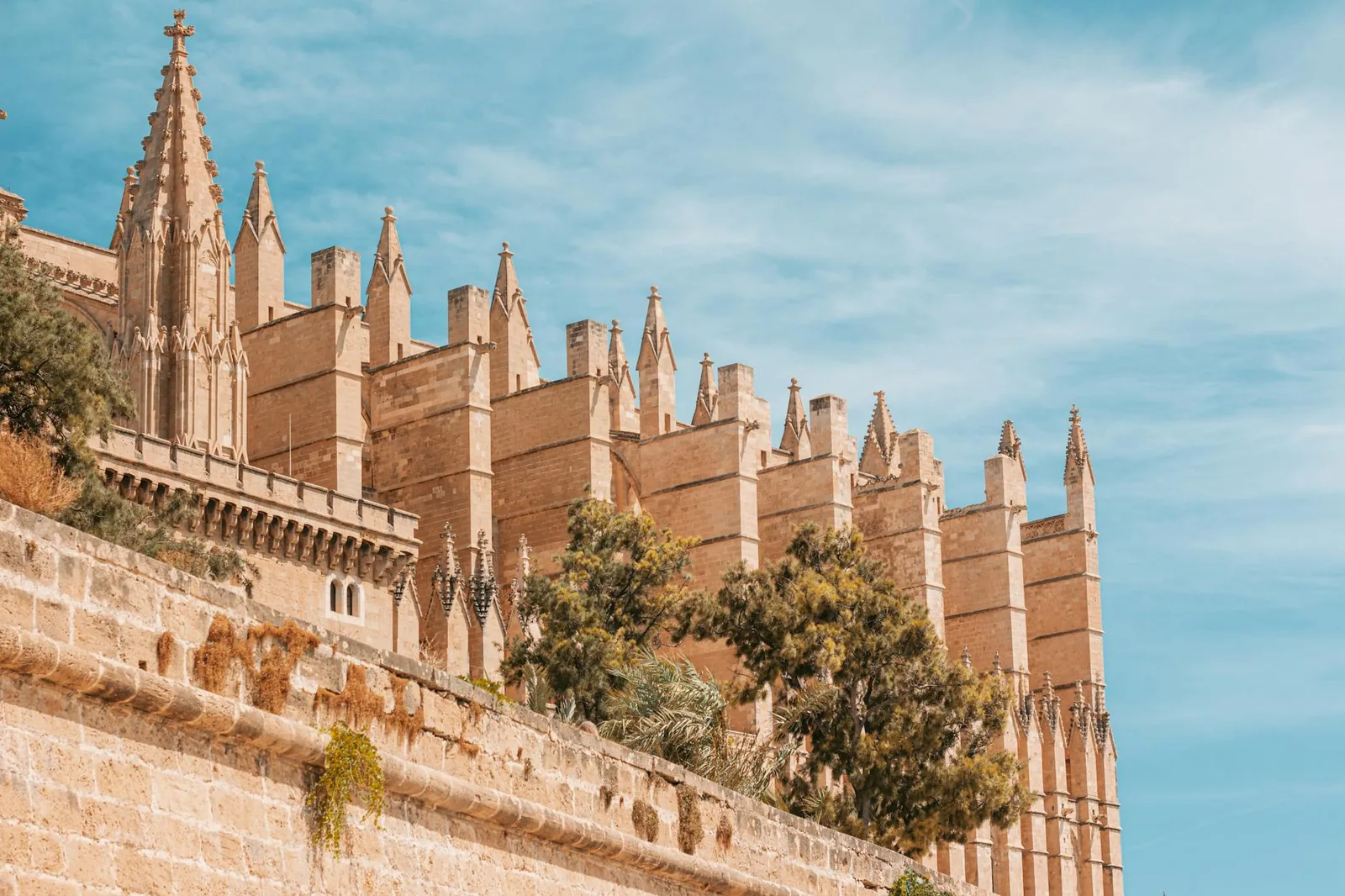 Vue de Palma de Majorque à Majorque — cathédrale, architecture