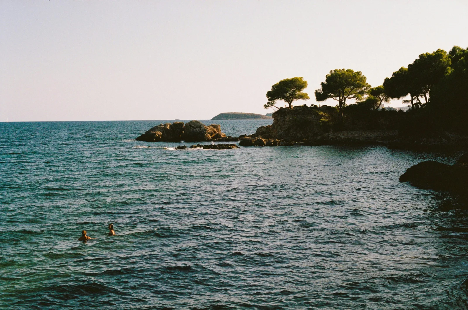 Plage de Peguera à Majorque bordée de pins