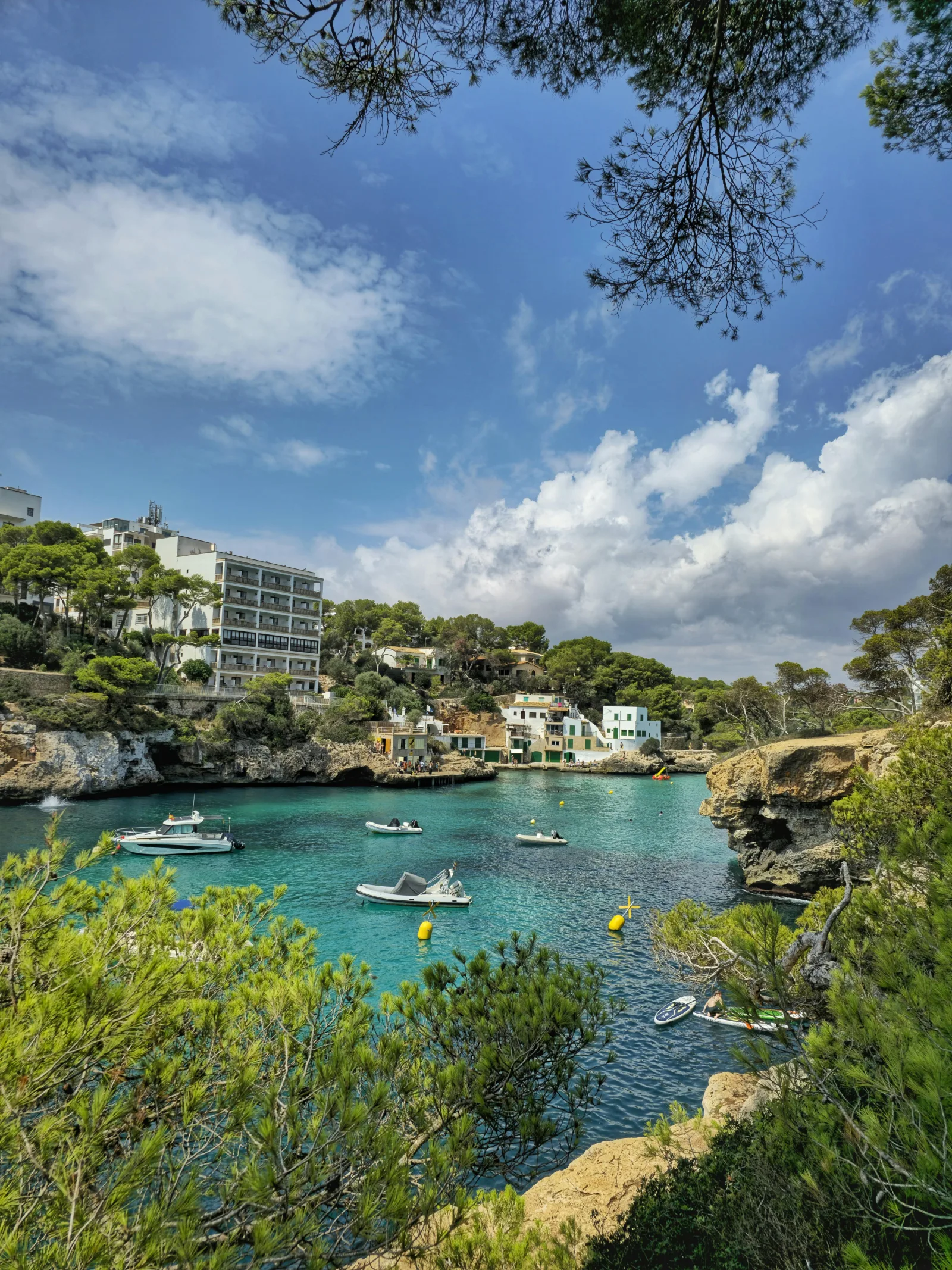 Baie de Peguera bordée de pins
