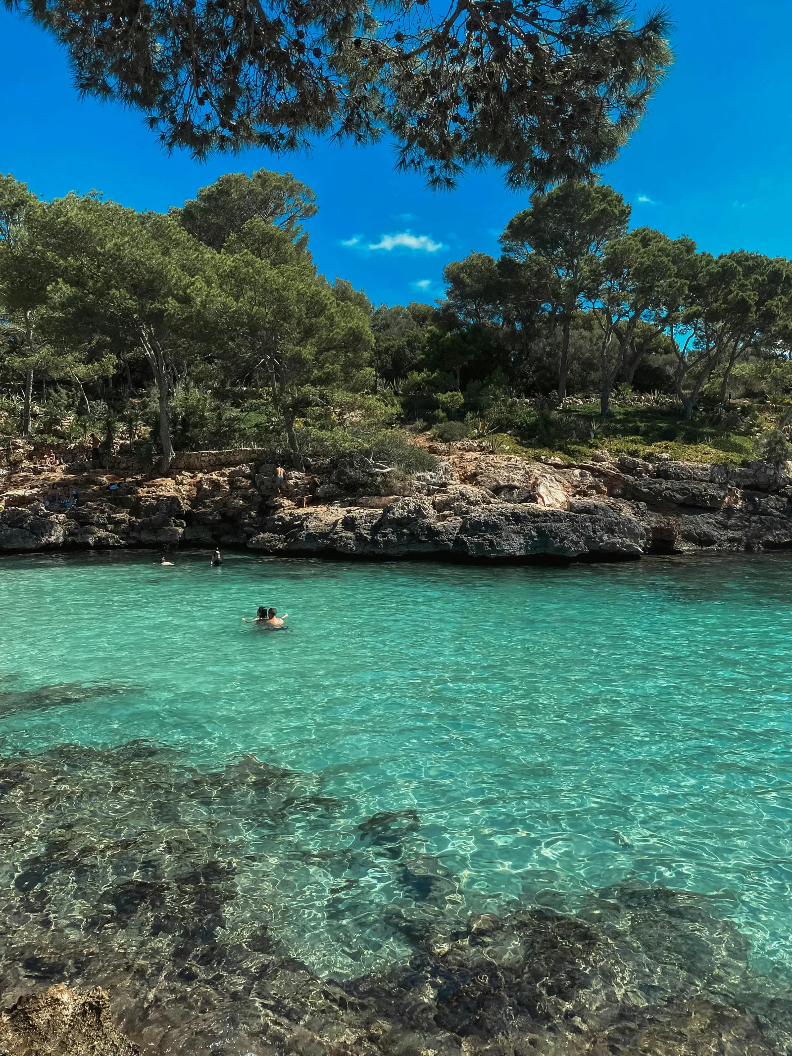 Plage de Peguera à Majorque
