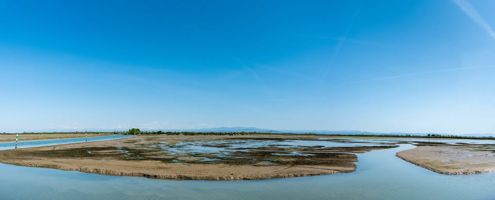 Zone humide du parc naturel de s'Albufera à Majorque