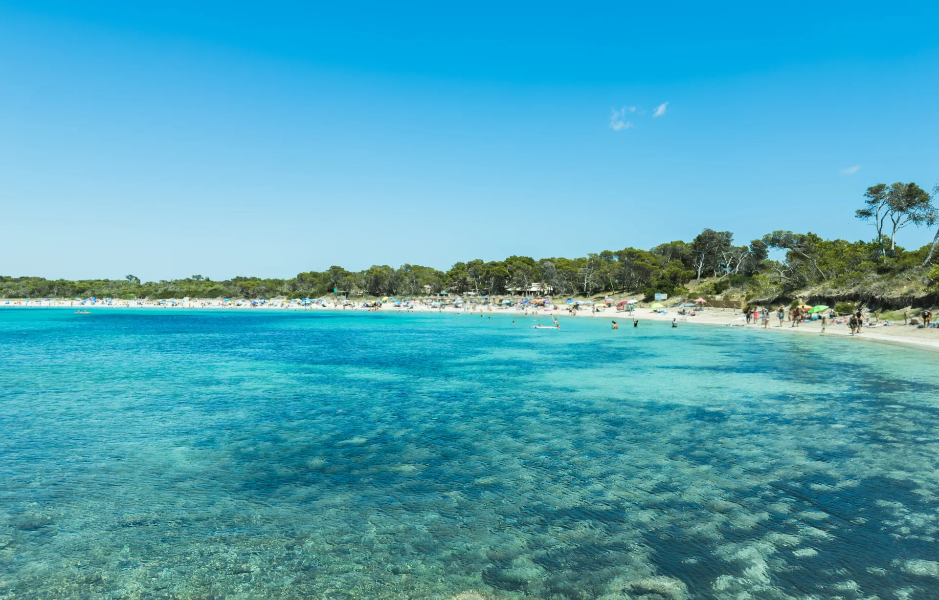 Eau turquoise de la plage d'Es Trenc dans le sud de Majorque