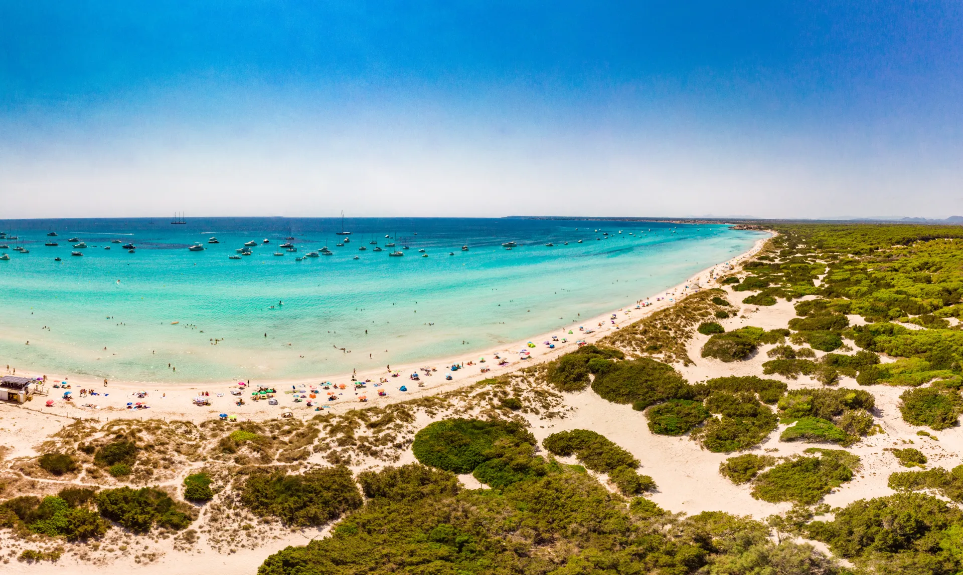 Plage sauvage d'Es Trenc bordée de dunes à Majorque