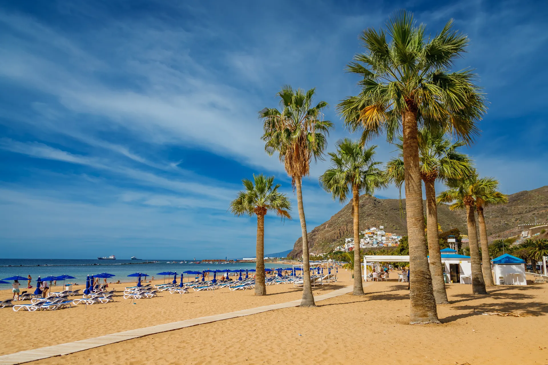 Une plage ensoleillée avec des palmiers, des parasols et des chaises longues, invitant à la détente au bord de l'eau